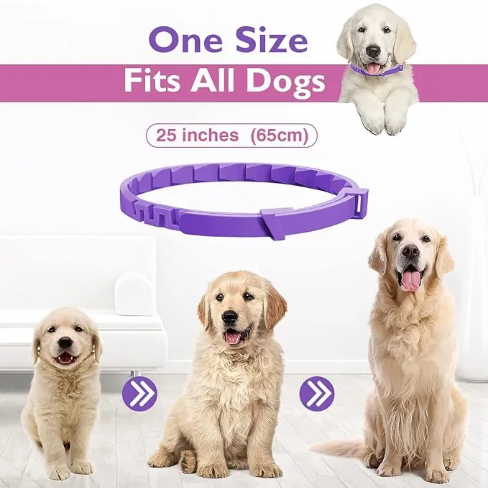 KIT 3 PIEZAS COLLAR CALMANTE PARA PERRO
